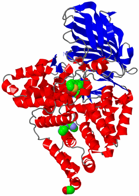 Image Asym./Biol. Unit