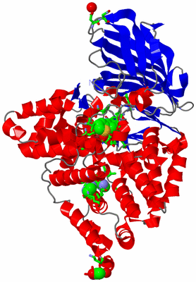 Image Asym./Biol. Unit - sites