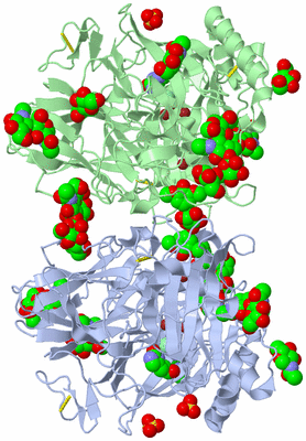 Image Asym./Biol. Unit