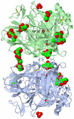 Image Asym./Biol. Unit