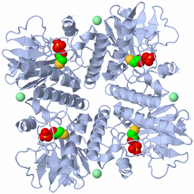 Image Biological Unit 1