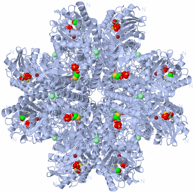 Image Biological Unit 2