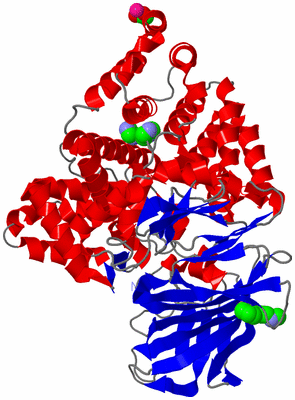 Image Asym./Biol. Unit