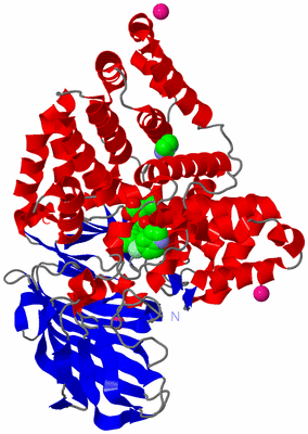 Image Asym./Biol. Unit