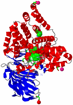 Image Asym./Biol. Unit - sites