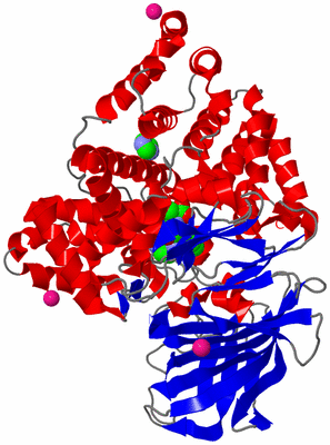 Image Asym./Biol. Unit