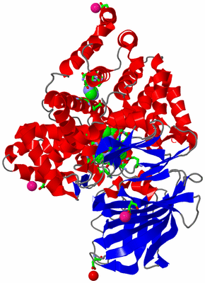 Image Asym./Biol. Unit - sites