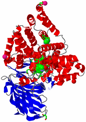 Image Asym./Biol. Unit - sites