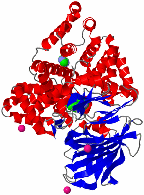 Image Asym./Biol. Unit