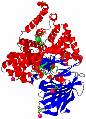 Image Asym./Biol. Unit - sites