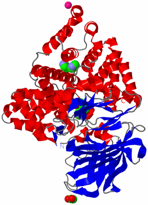 Image Asym./Biol. Unit