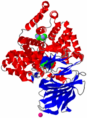 Image Asym./Biol. Unit