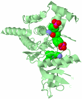 Image Biological Unit 2