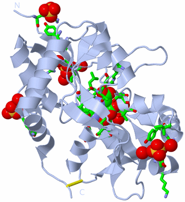 Image Biol. Unit 1 - sites