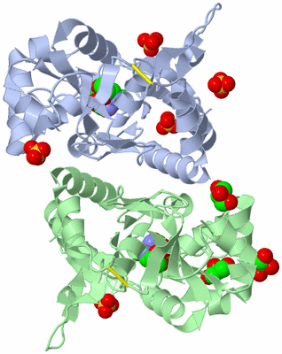 Image Biological Unit 3