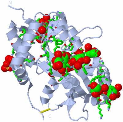 Image Biol. Unit 1 - sites