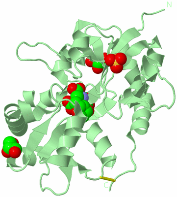 Image Biological Unit 2