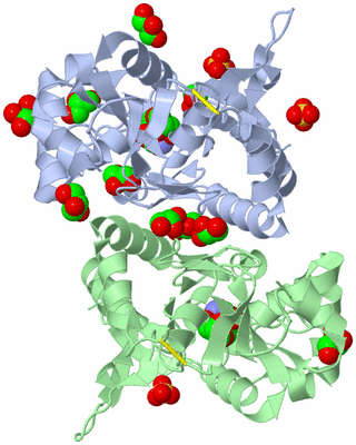 Image Biological Unit 3