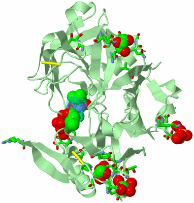 Image Biol. Unit 1 - sites