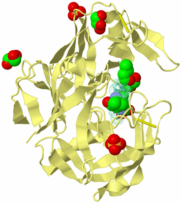 Image Biological Unit 3