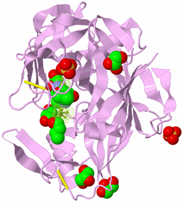 Image Biological Unit 4