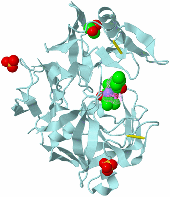 Image Biological Unit 5