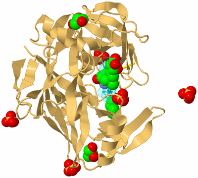 Image Biological Unit 6