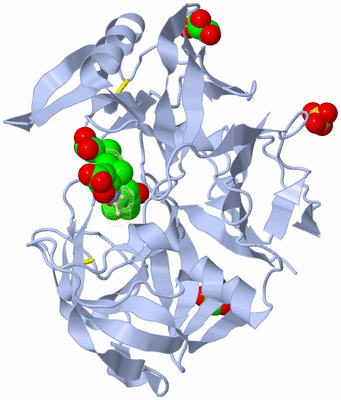 Image Biological Unit 8