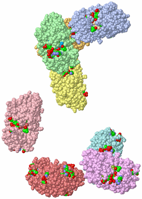 Image Asym. Unit - sites