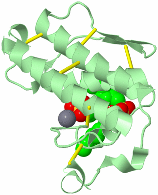 Image Biological Unit 2