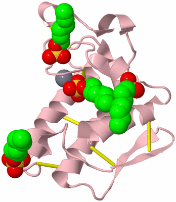 Image Biological Unit 3