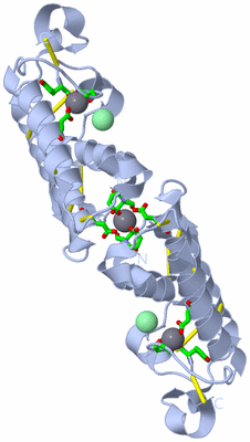 Image Biol. Unit 1 - sites