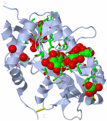 Image Biol. Unit 1 - sites