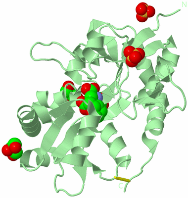 Image Biological Unit 2