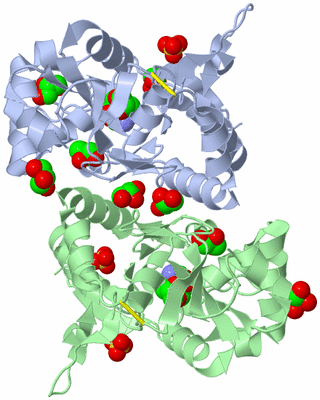 Image Biological Unit 3