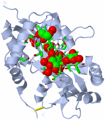 Image Biol. Unit 1 - sites