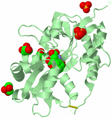 Image Biological Unit 2