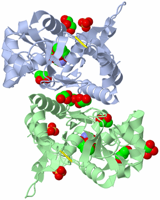 Image Biological Unit 3