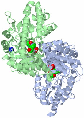 Image Asym./Biol. Unit