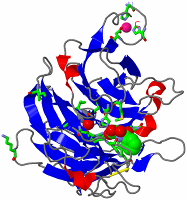 Image Asym./Biol. Unit - sites