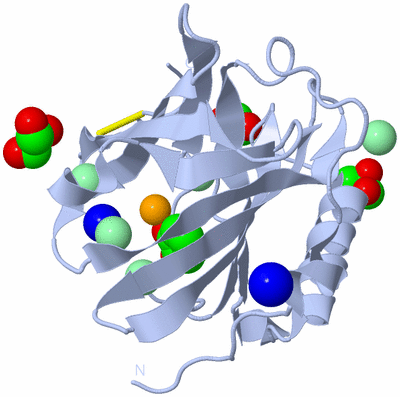 Image Biological Unit 1