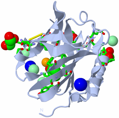 Image Biol. Unit 1 - sites