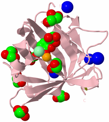 Image Biological Unit 3