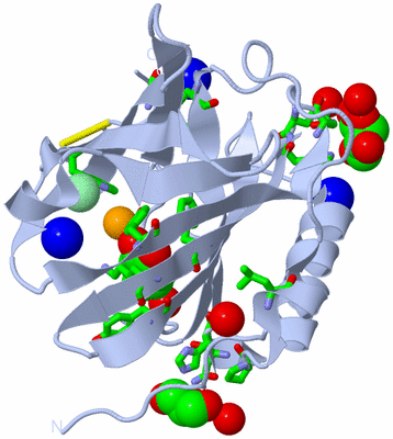 Image Biol. Unit 1 - sites