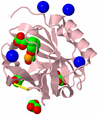 Image Biological Unit 3