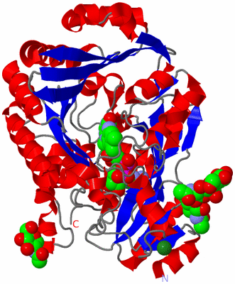 Image Asym./Biol. Unit