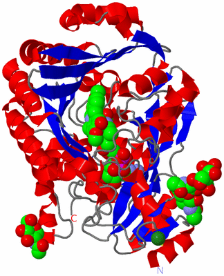 Image Asym./Biol. Unit