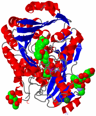 Image Asym./Biol. Unit