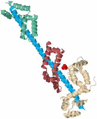 Image Biological Unit 3