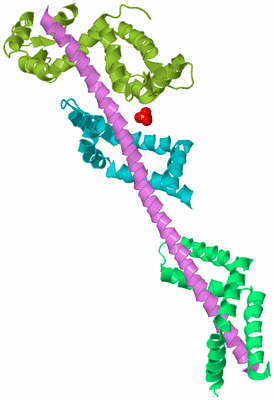 Image Biological Unit 4